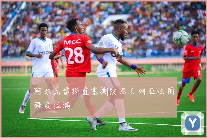 阿尔瓦雷斯直塞撕防尼日利亚法国强度拉满