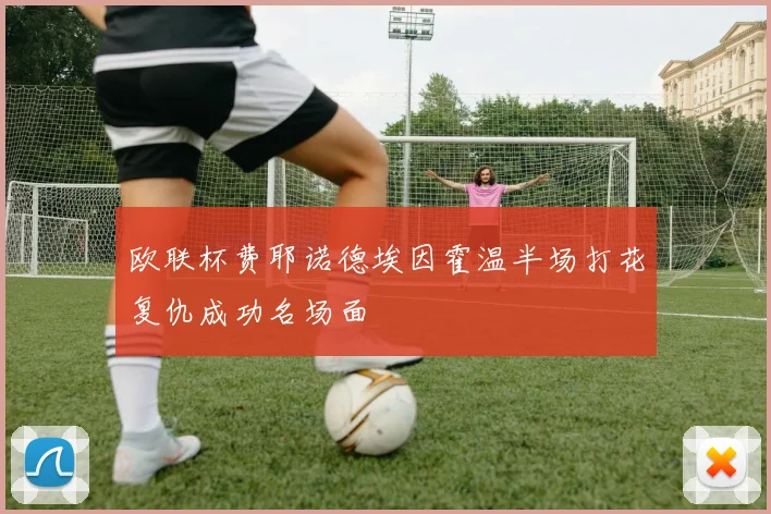 欧联杯费耶诺德埃因霍温半场打花复仇成功名场面