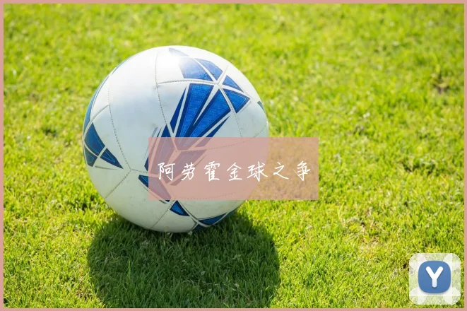 阿劳霍金球之争