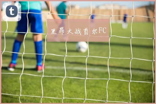 里昂大战首尔FC