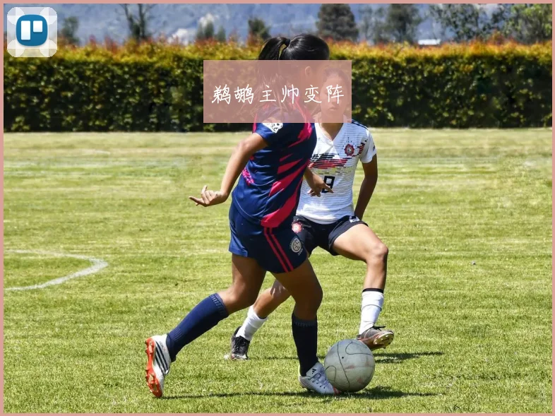 鹈鹕主帅变阵