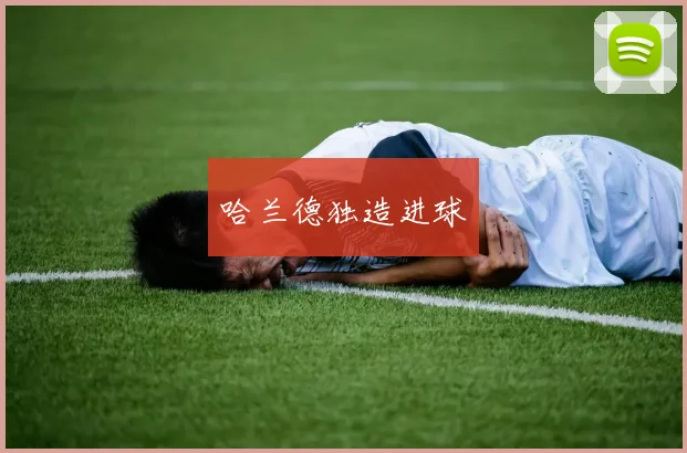 哈兰德独造进球