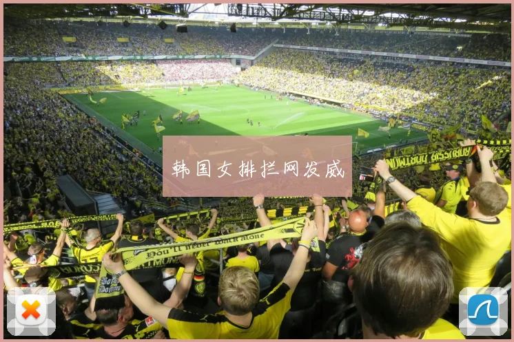 韩国女排拦网发威