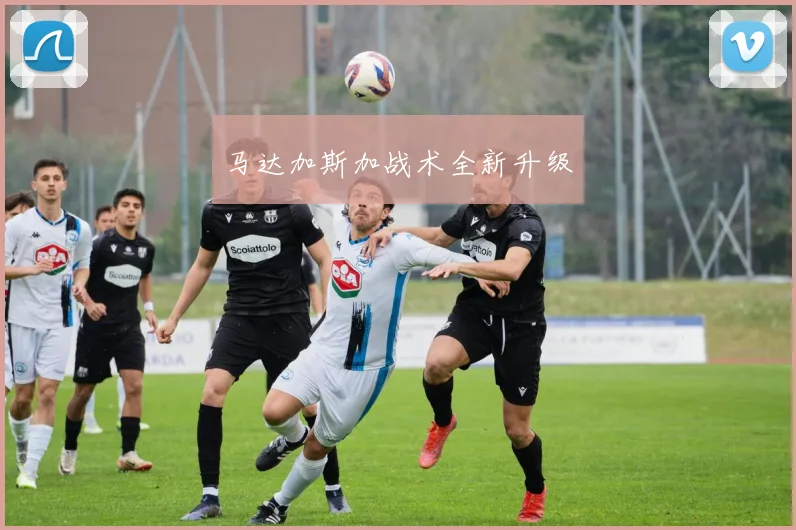 马达加斯加战术全新升级