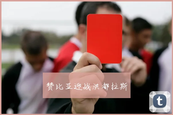 赞比亚迎战洪都拉斯