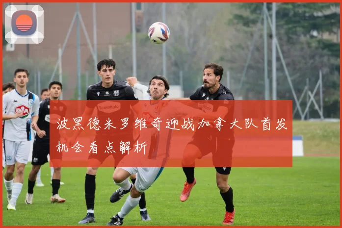 波黑德米罗维奇迎战加拿大队首发机会看点解析
