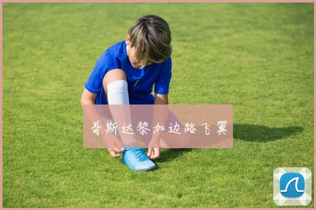 哥斯达黎加边路飞翼