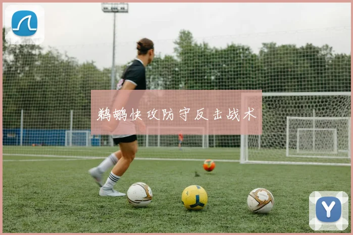 鹈鹕快攻防守反击战术