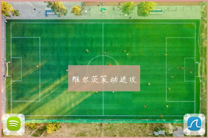 维尔茨策动进攻