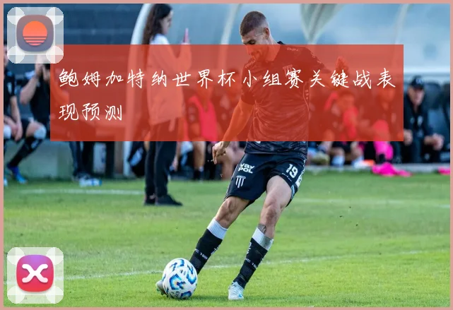鲍姆加特纳世界杯小组赛关键战表现预测