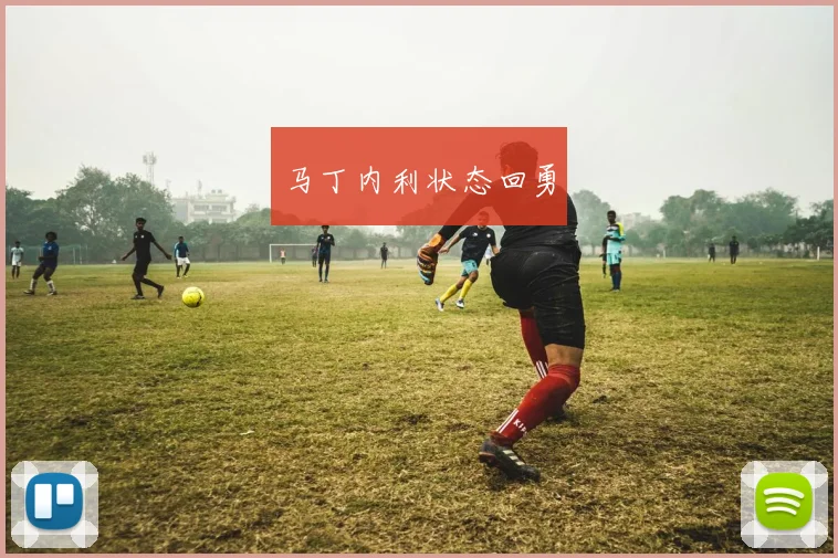 马丁内利状态回勇