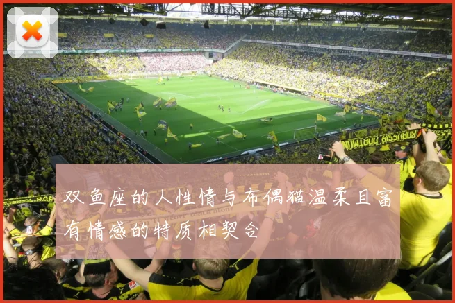 双鱼座的人性情与布偶猫温柔且富有情感的特质相契合
