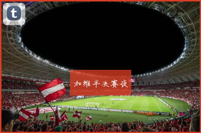 加维半决赛夜