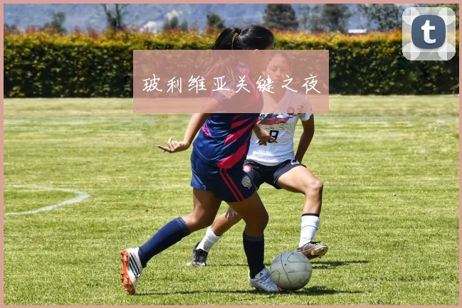 玻利维亚关键之夜