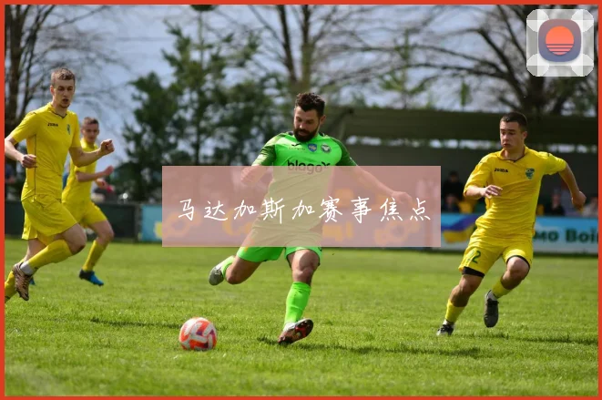 马达加斯加赛事焦点
