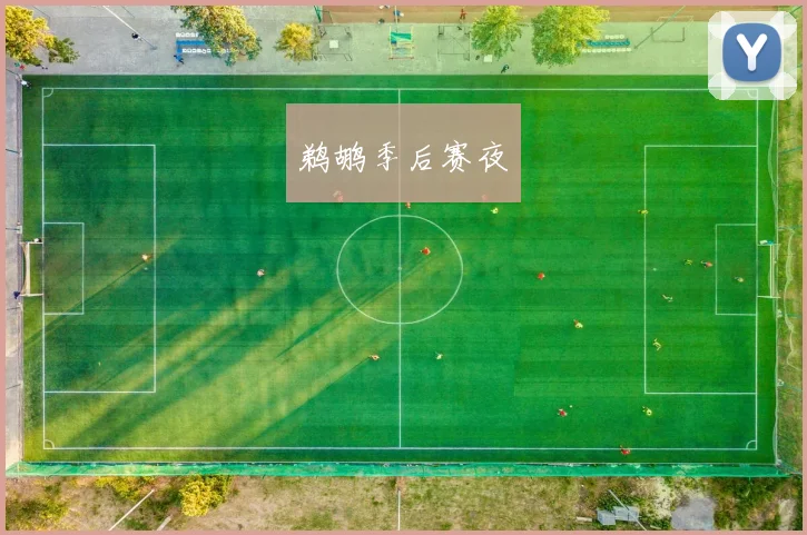 鹈鹕季后赛夜