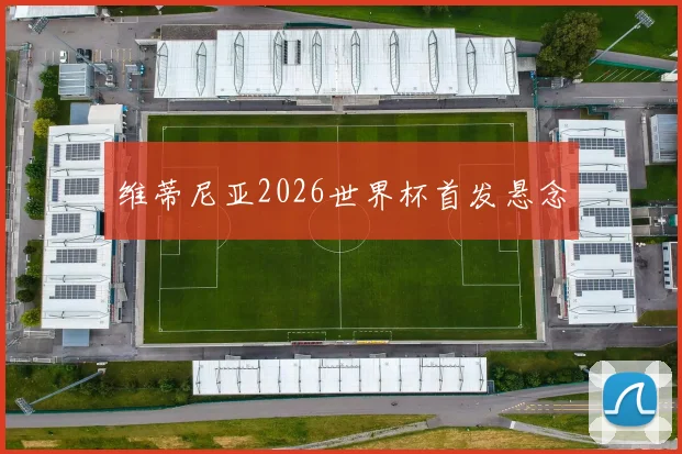 维蒂尼亚2026世界杯首发悬念