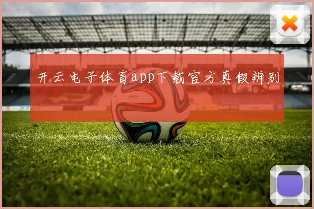 开云电子体育app下载官方真假辨别